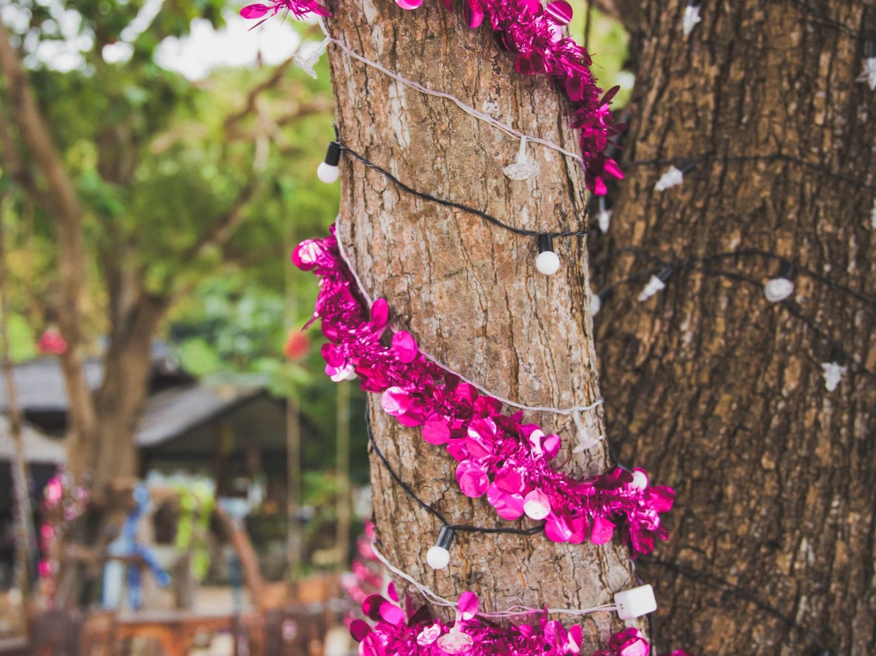 ThatsAmore Wedding